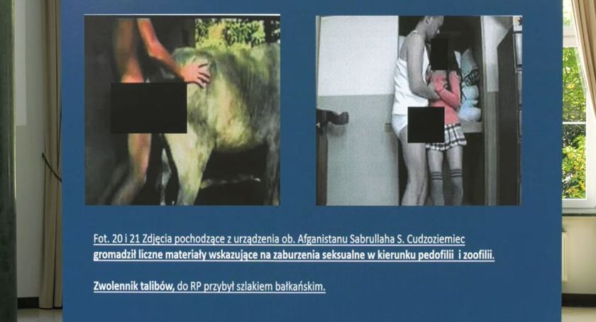 Znacie kogoś, kto uprawia seks z bydłem w stajni? Polska pisarka twierdzi, że w Polsce takich ludzi jest sporo