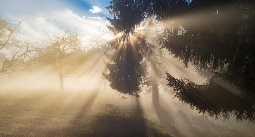 Zdjęcie obrazujące zjawisko mgły/ Pixabay.com