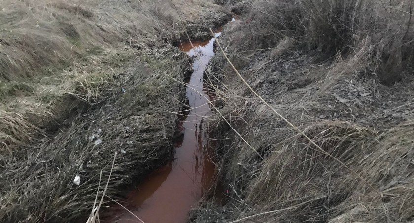 Zdjęcie zanieczyszczonej rzeczki / Foto: WIOŚ