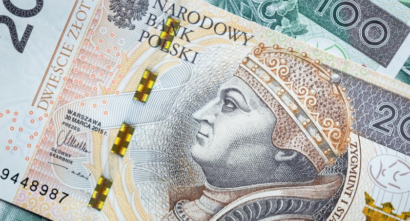 Polskie pieniądze / Foto: pexels.com