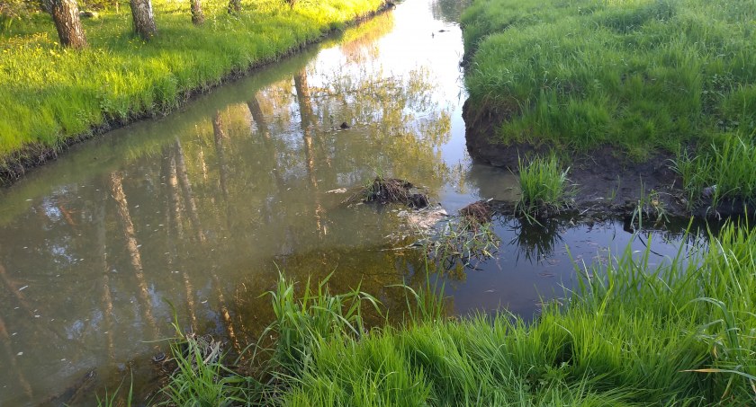 Zdjęcie zanieczyszczonej rzeki Białej w Bielsku Podlaskim/ WIOŚ