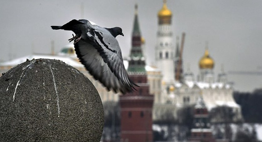 Zdjęcie Kremla na rozmytym tle/ Twitter.com/ Ukrinform