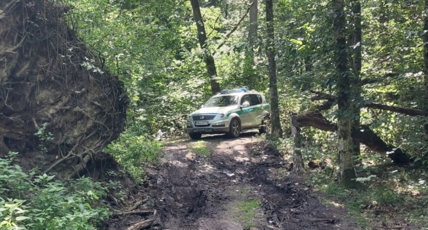 Zdjęcie patrolu SG nieopodal polsko - białoruskiej granicy / Foto: SG