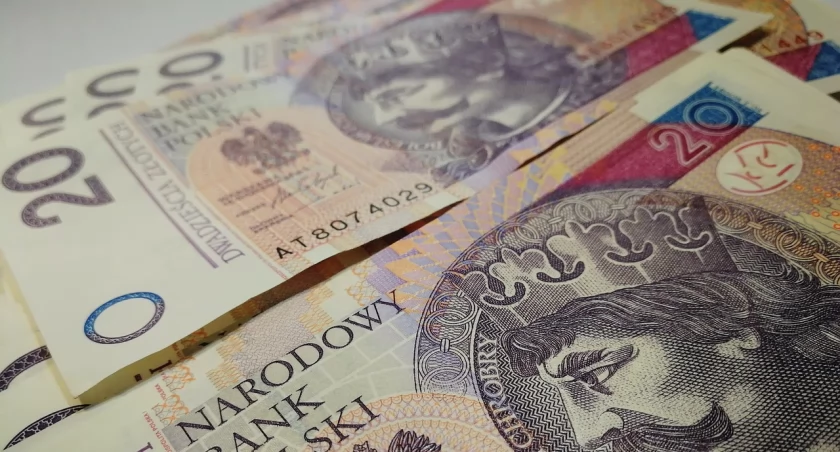 Polskie pieniądze - zdjęcie ilustracyjne / Foto: pixabay.com