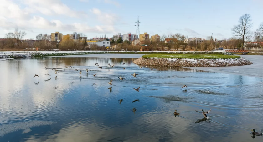Zdjęcie Stawów Marczukowskich/ bialystok.pl
