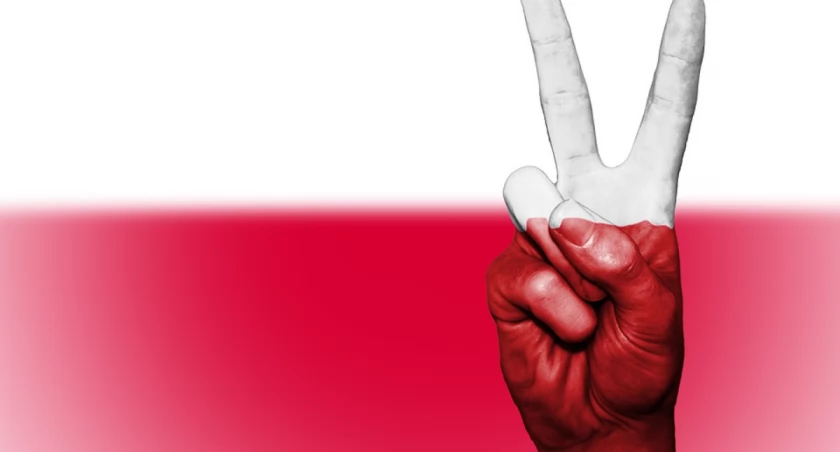 Zdjęcie dłoni w biało-czerwonych barwach/ Pixabay.com