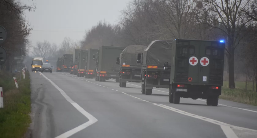 Zdjęcie pojazdów wojskowych na szosie/ Wojsko Polskie