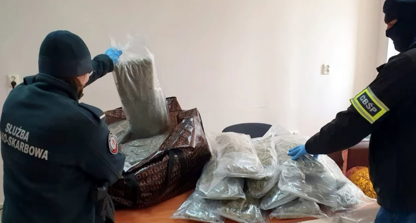 Funkcjonariusze podczas zabezpieczania narkotyków / Foto: KAS
