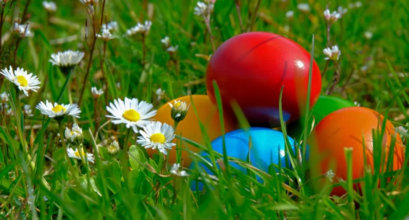 Zdjęcie pisanek leżących na trawie z kwiatkami/ PIxabay.com