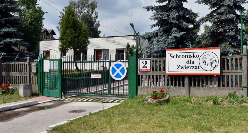 Zdjęcie budynku Schroniska dla Zwierząt/ bialystok.pl