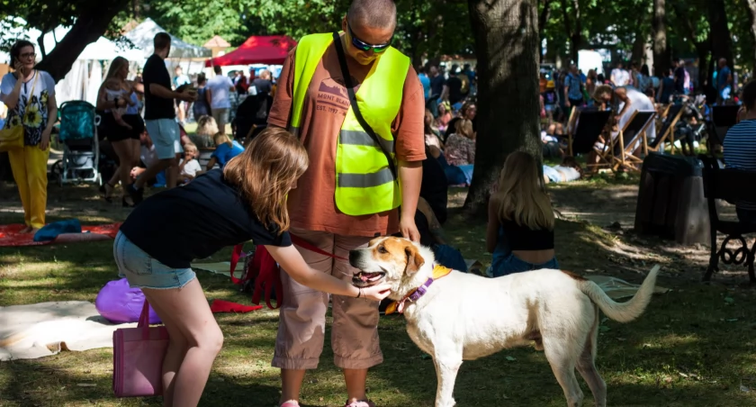 W pikniku weźmie udział kilkanaście psiaków / Foto: mat. pras.
