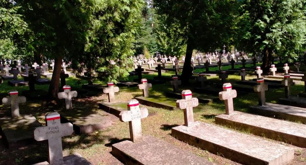 Zdjęcie przystrojonych grobów z poprzednich lat / Foto: profil FB Pawła Myszkowskiego