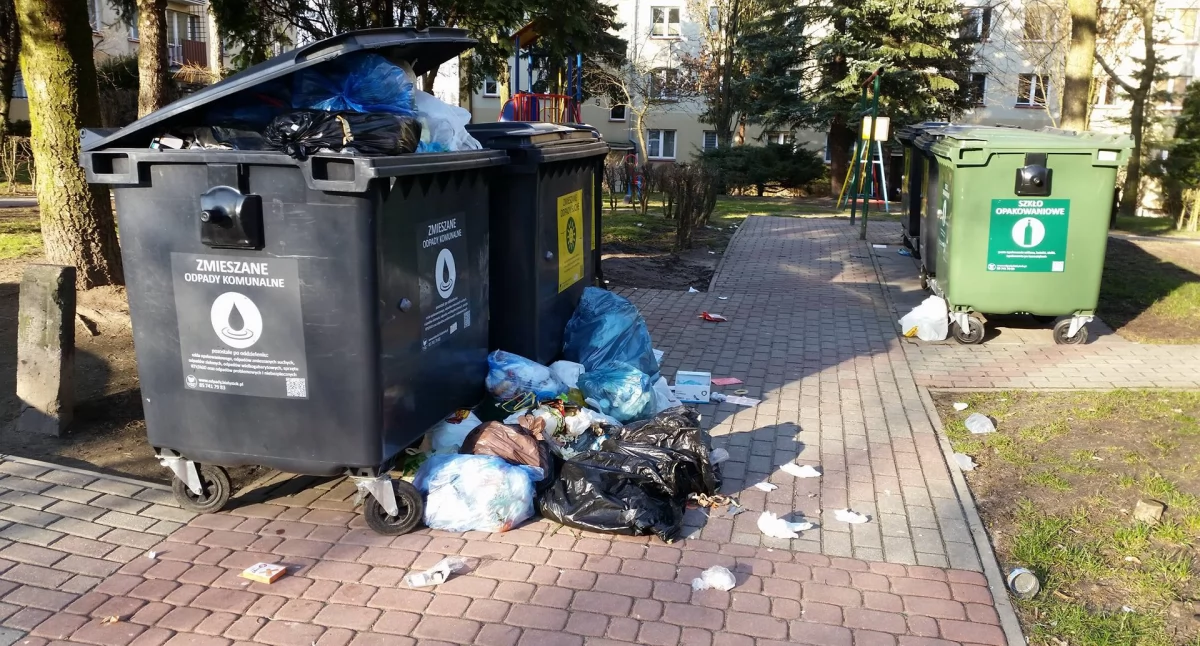 Zdjęcie kubłów na śmieci w Białymstoku/ DDB