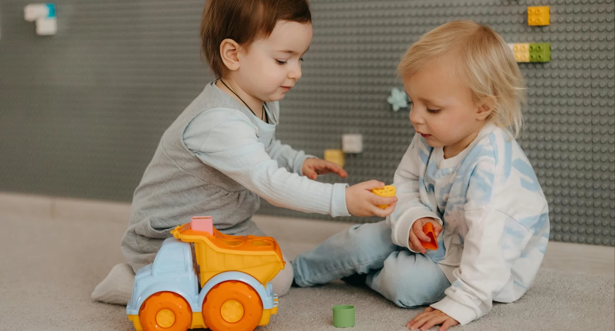 Zdjęcie ilustracyjne / Foto: pexels.com