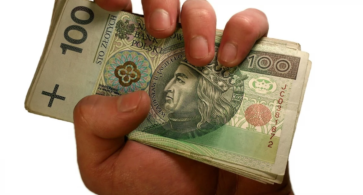 Zdjęcie ilustracyjne / Foto: pixabay.com