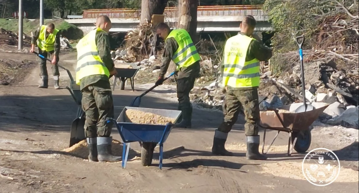 Zdjęcia z działań WOT / Foto: DWOT