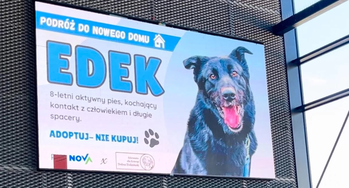 Zdjęcie telebimu w hali dworca PKS Nova w Białymstoku / Foto: mat. pras.