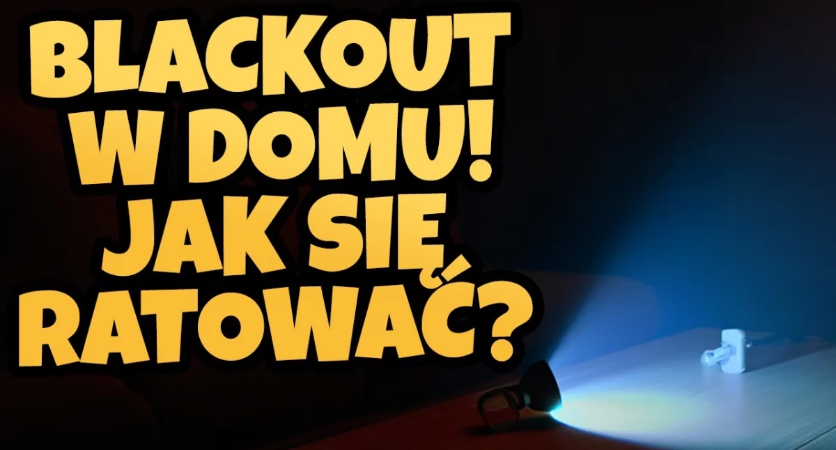 Fot. ddp24.pl