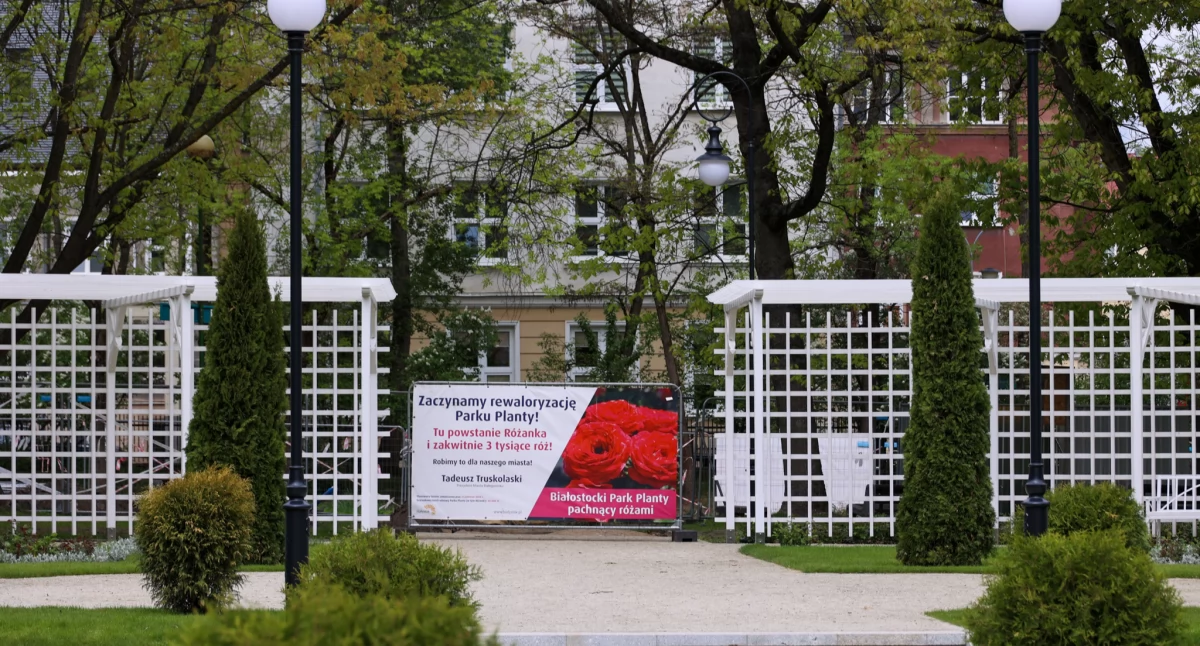 3 000 róż na nowej różance - unikatowe miejsce w mieście