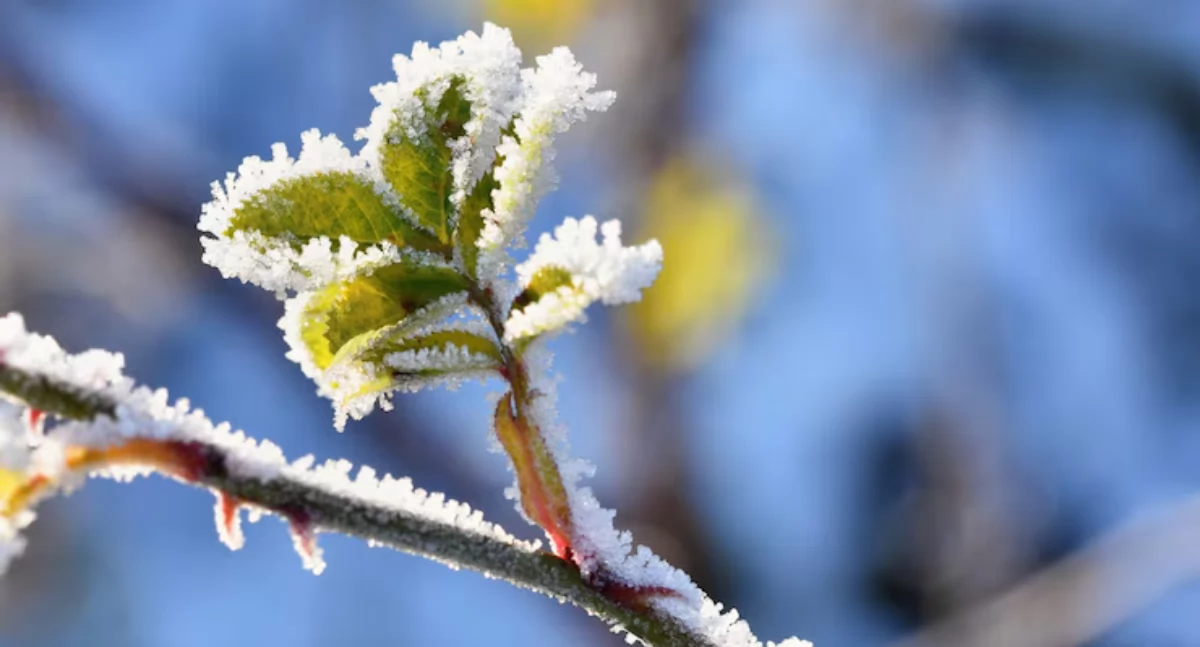 Zdjęcie ilustracyjne / Foto: pixabay.com