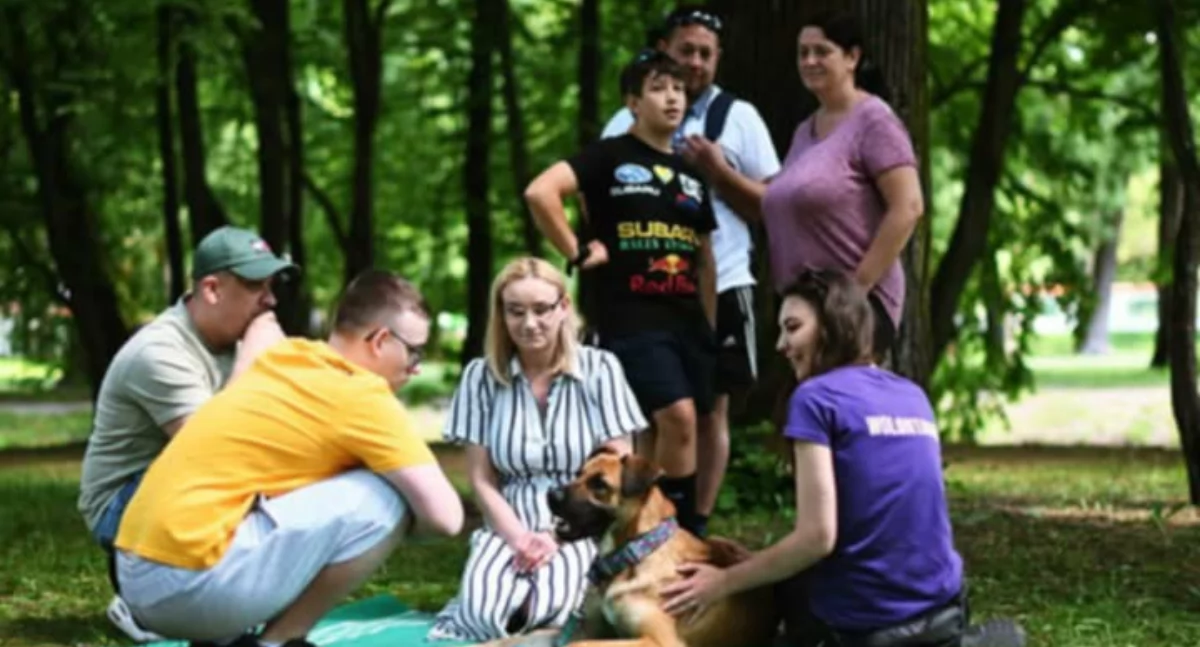 Poznaj psy poszukujące nowych domów na spotkaniu z wolontariuszami ze schroniska