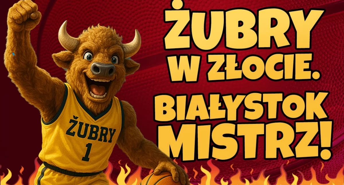 Żubry mistrz! Tak pięknie to jeszcze nie było! (WIDEO)