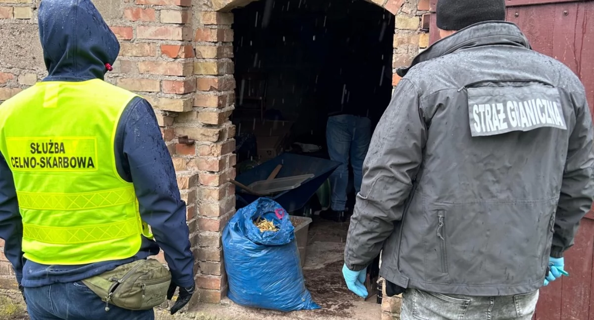 Mundurowi przyszli po tytoń, zabrali właściciela do odsiadki