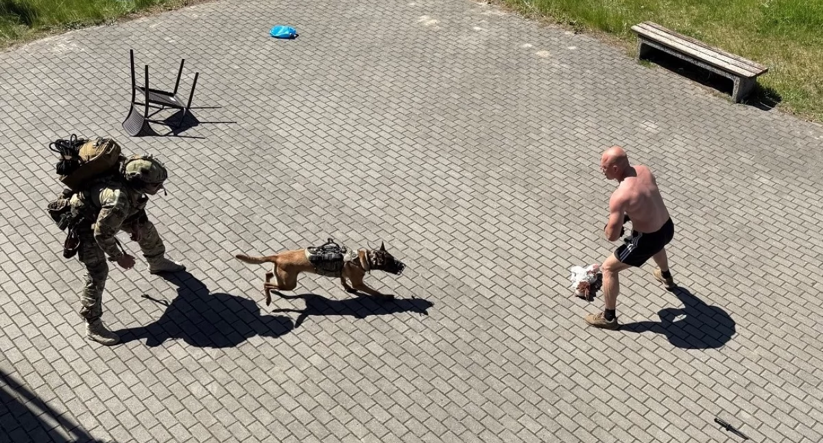 Ratownicy i psy służbowe W służbie dla bezpieczeństwa. Mistrzostwa w Suwałkach