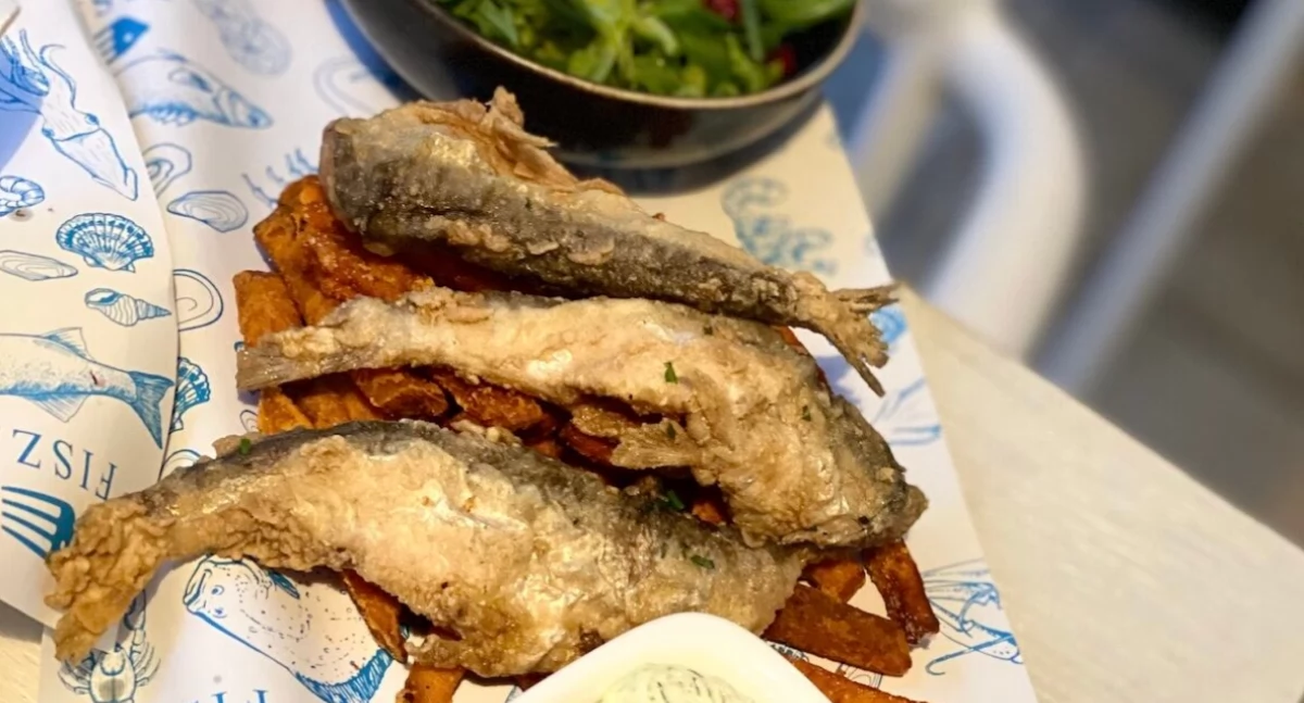 Ryby na urlopie czyli gdzie lepiej i taniej: w jeziorem w Augustowie czy nad Bałtykiem?