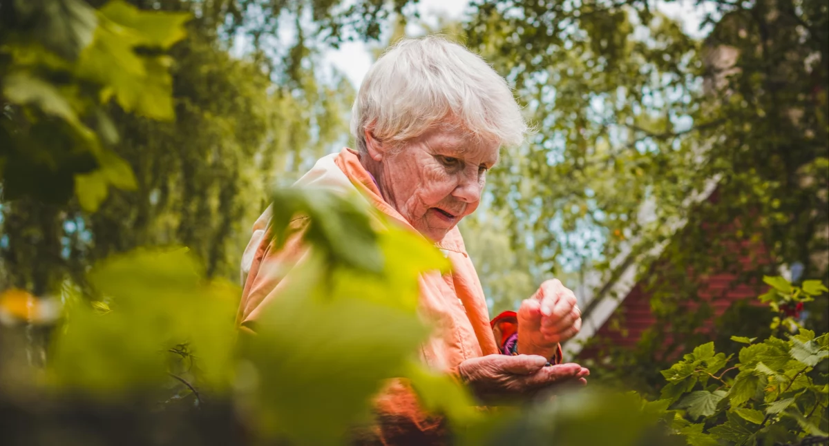 Zdjęcie ilustracyjne / Foto: pexels.com