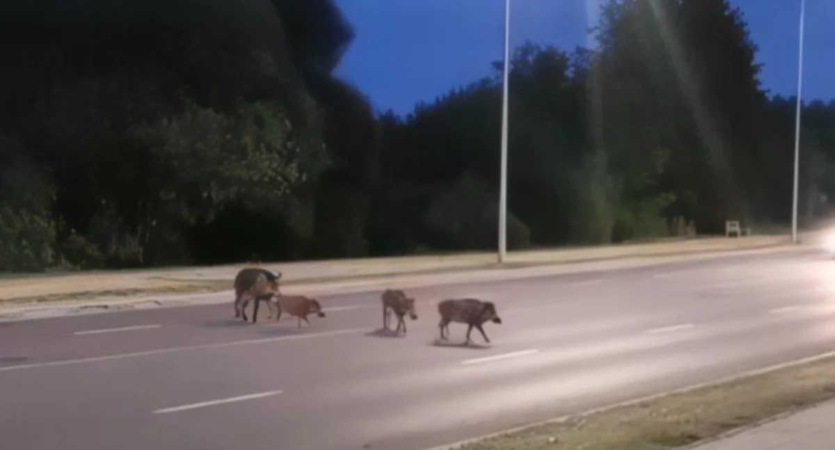 Fot. Spotted Białystok 