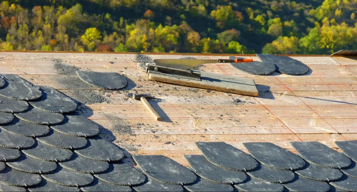 Fot. materiał reklamowy 