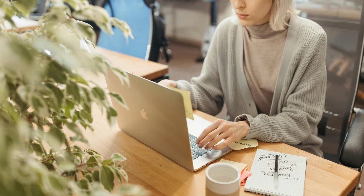 Zdjęcie ilustracyjne / Foto: pexels.com
