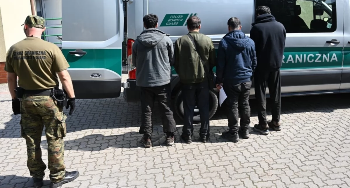 Straż Graniczna zatrzymała migrantów na granicy z Litwą