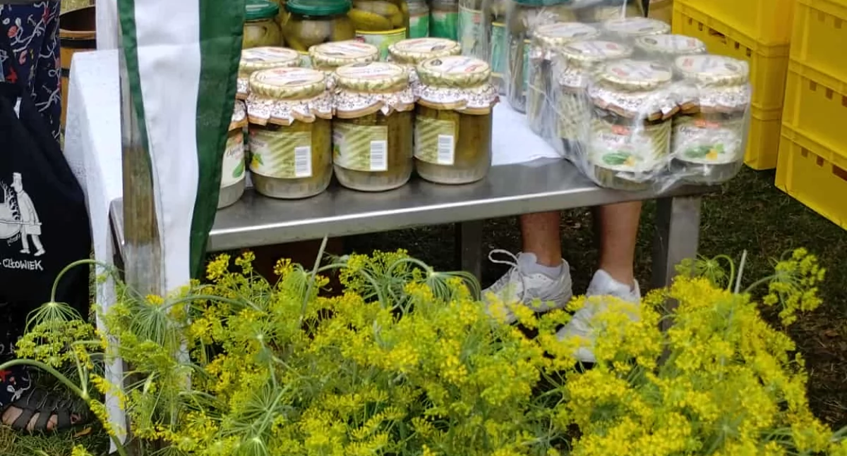 W Kruszewie świętowano tradycję. 26. Ogólnopolski Dzień Ogórka przyciągnął tłumy