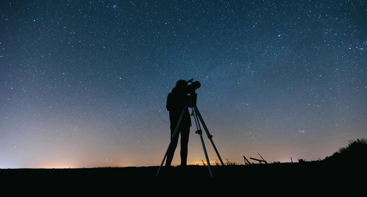 Zdjęcie ilustracyjne / Foto: pexels.com