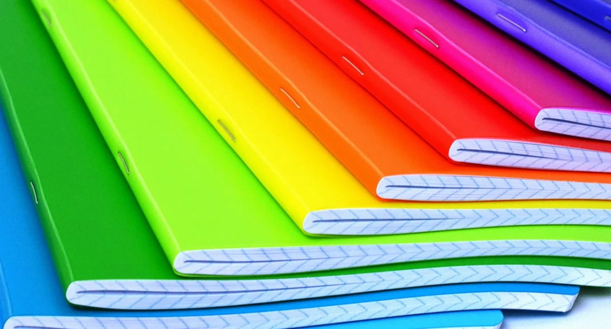 Tak podlaskie korzysta z 300 plus: ponad 88 tysięcy wniosków złożonych w regionie