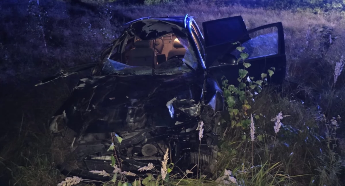 Łoś nie żyje po potężnym uderzeniu