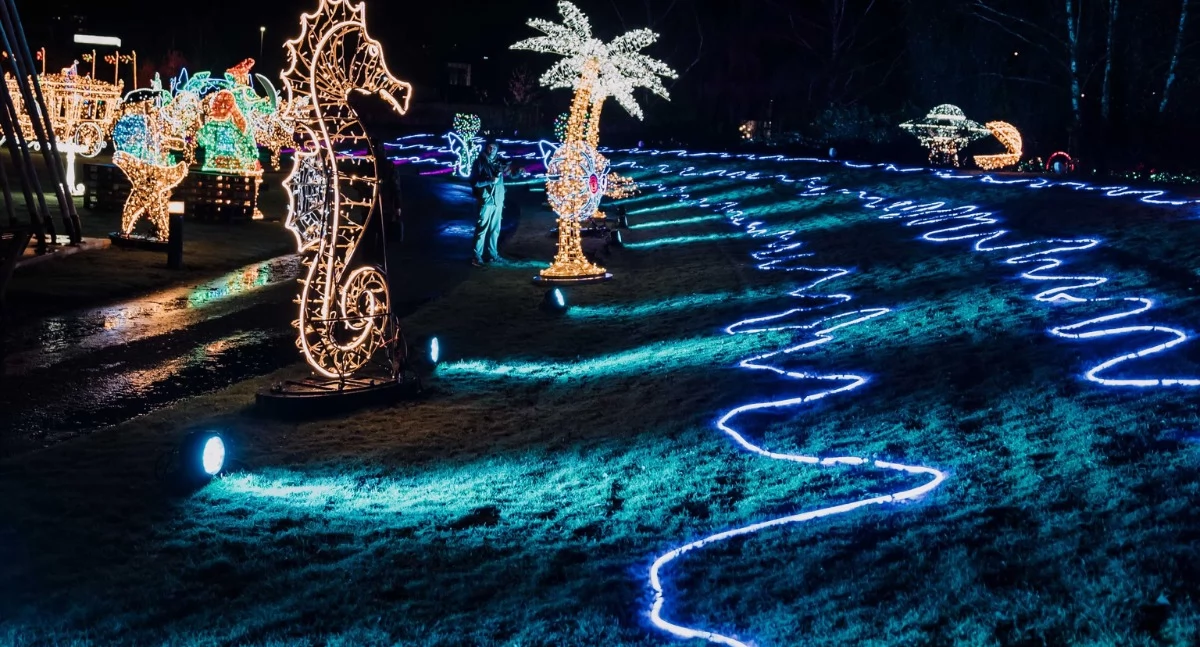 Milion świateł rozświetli skansen: największy park iluminacji pod Białymstokiem