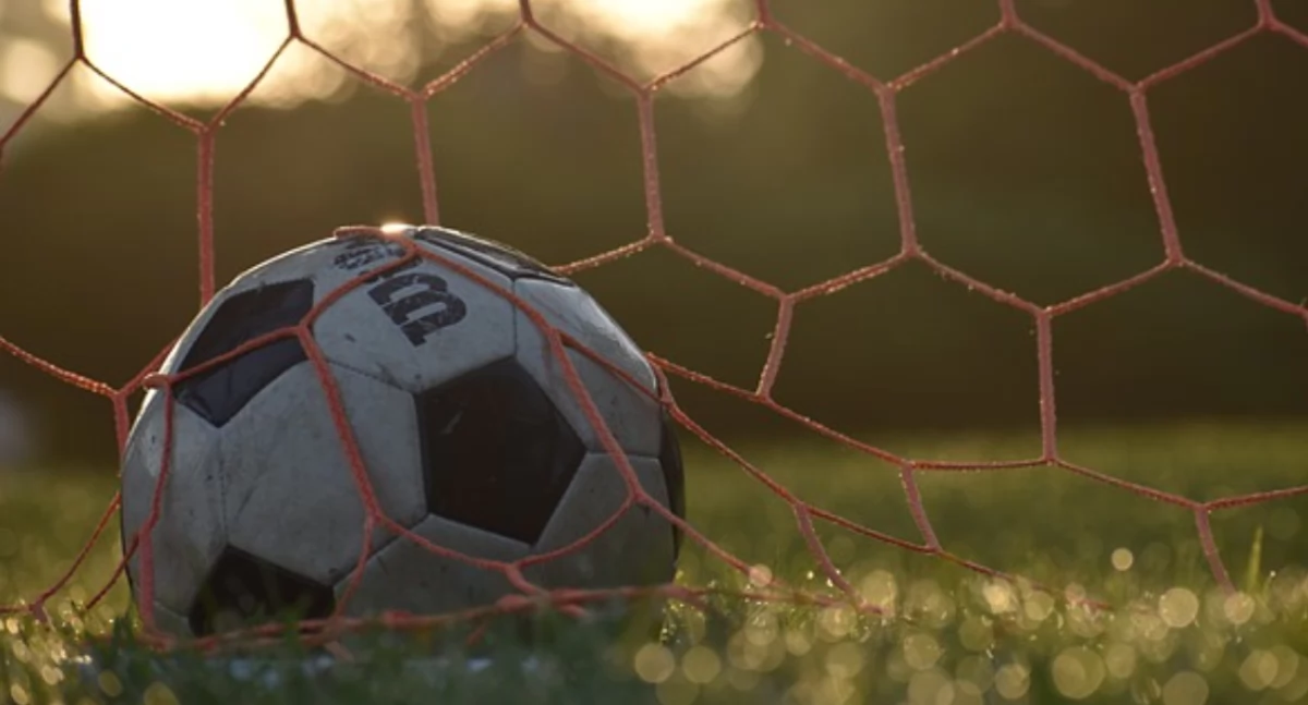 Zdjęcie ilustracyjne / Foto: pexels.com