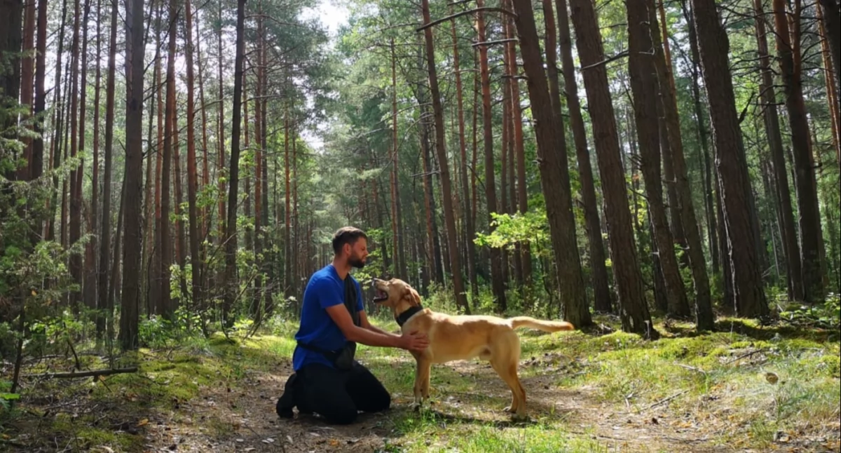 Na Podlasiu jest pies elity ratowniczej - labrador Folk z uprawnieniami do akcji