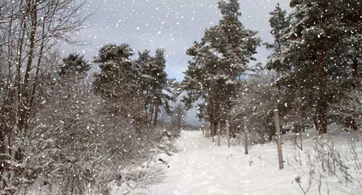 Uwaga na zimę! Kiedy będzie śnieg w podlaskiem?