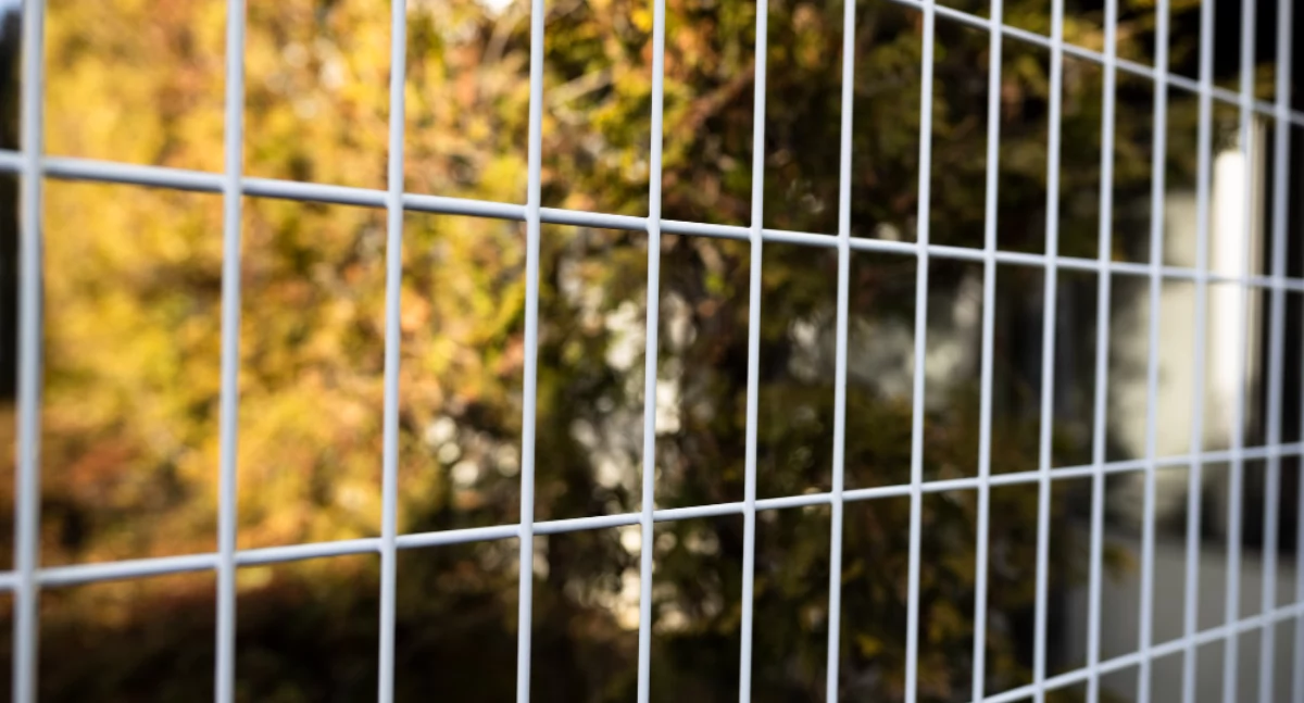 Artykuł Partnerski, ogrodzenie prądem legalne - zdjęcie, fotografia