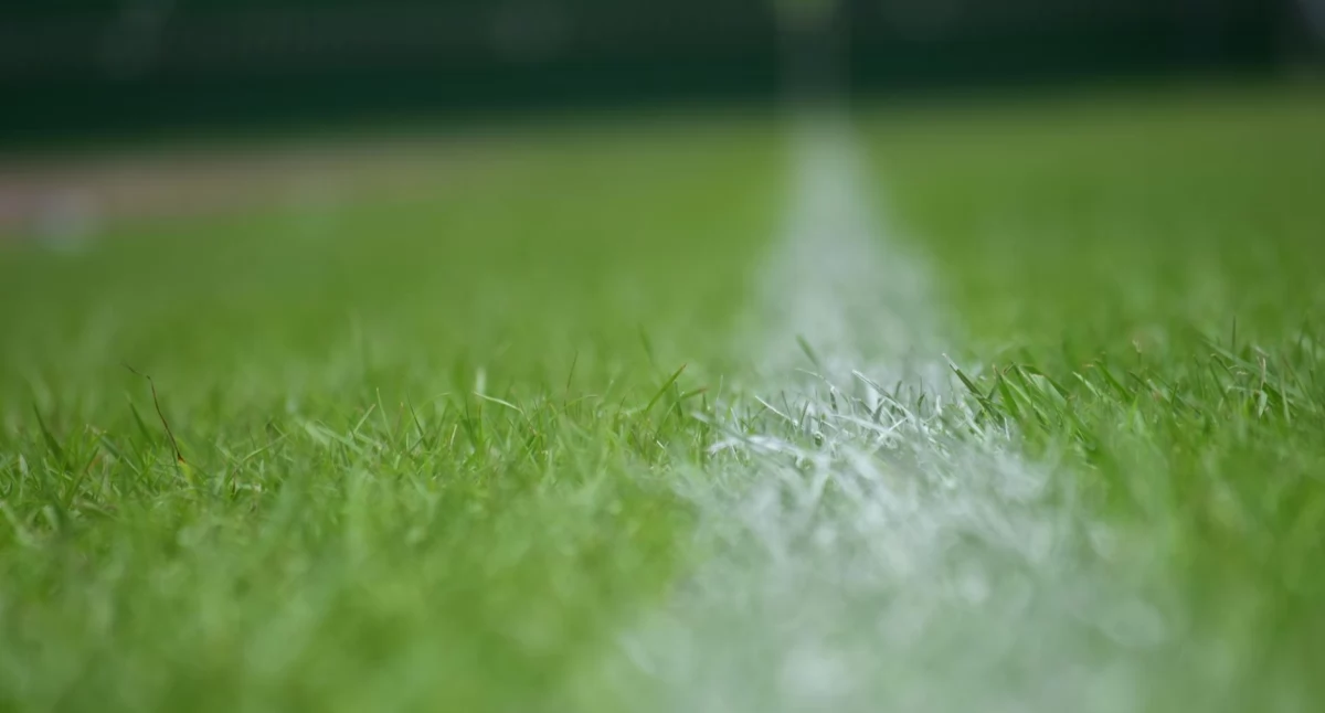 Jak wybrać najlepszą trawę z rolki w Białymstoku: poradnik dla właścicieli ogrodów