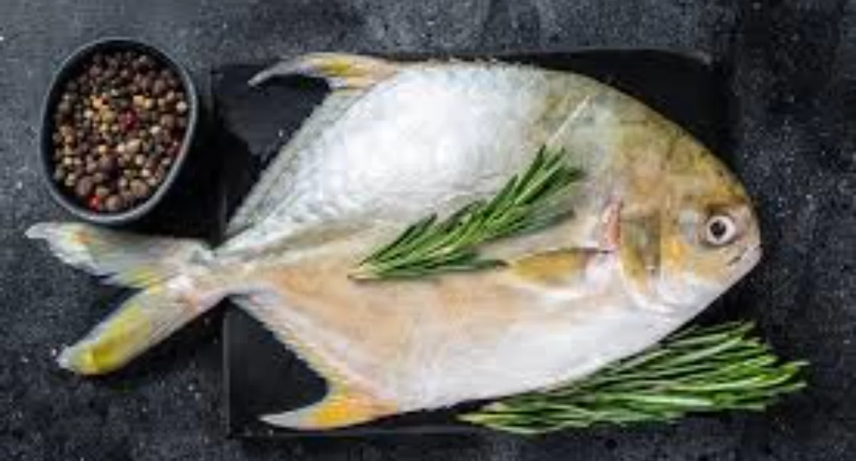 Zdjęcie ilustracyjne / Foto: pixabay.com