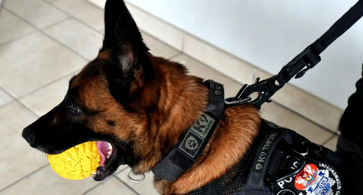 Luna / Fot. Podlaska policja