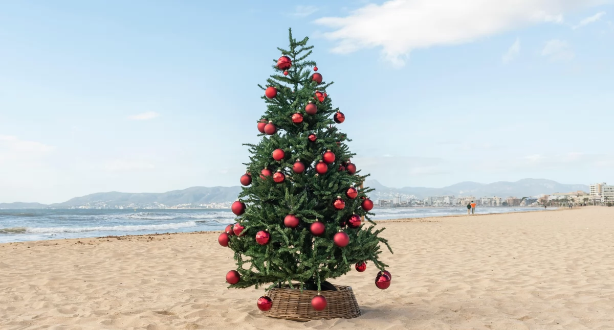 Fot. pixabay - zdjęcie ilustracyjne 