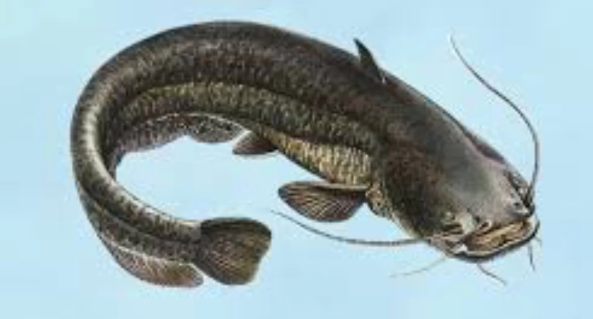 Zdjęcie ilustracyjne / Foto: pexels.com