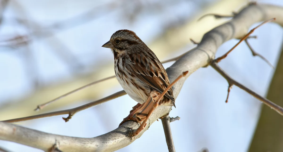 Zdjęcie ilustracyjne / Foto: pexels.com
