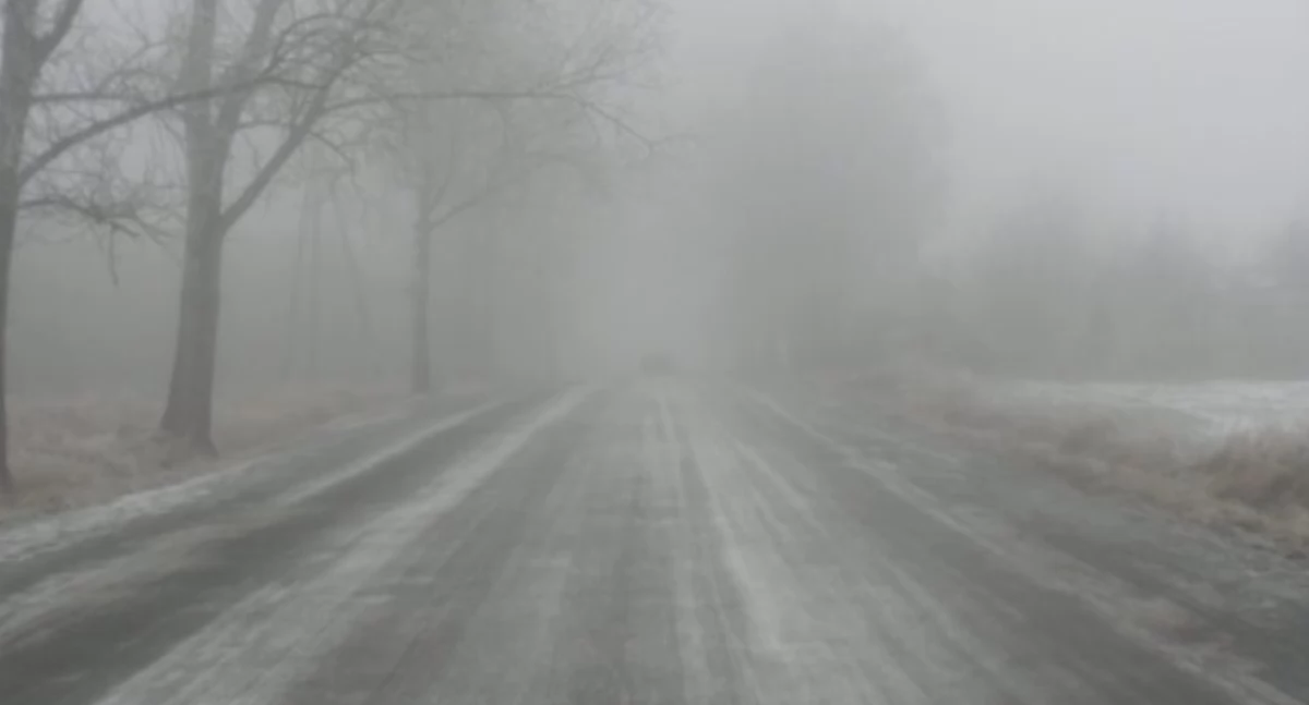 Zdjęcie ilustracyjne / Foto: pixabay.com